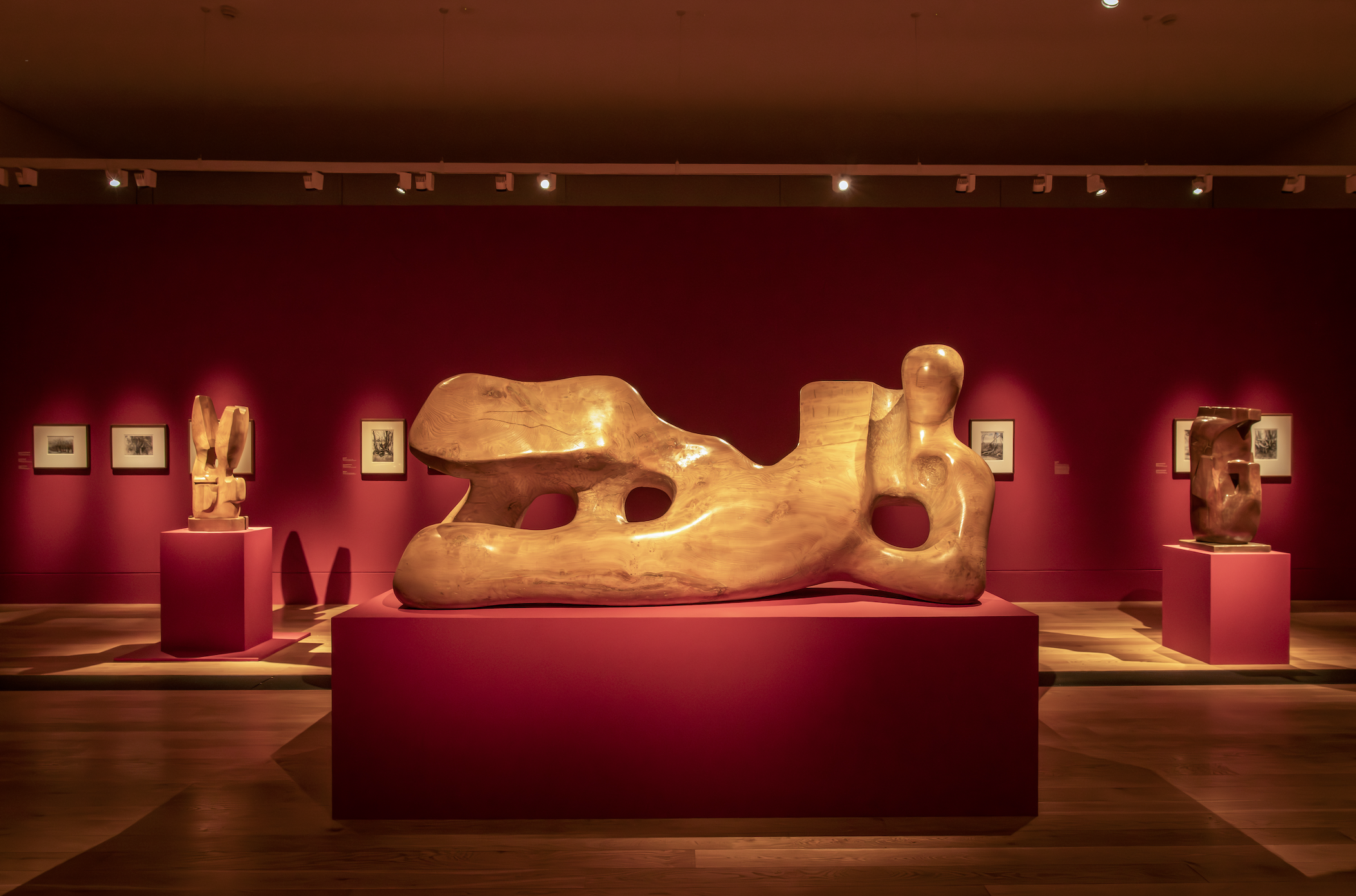 アート・デザイン・音楽 Henry Moore: A Monumental Vision Henry Moore: Monumental Nature